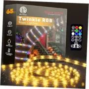 LED Rope Light RGB Twinkle, with 360° Durable 65.6ft RGB (Red, Green, Blue)