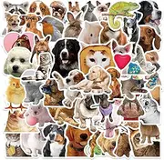 50 Packs Funny Animals Stickers Water Bottles Laptop Phone Motorcycle Computer Guitar Skateboard Hydroflasks Animals Vinyl Sticker Waterproof Aesthetic Trendy Decals for Teens Girls Adults