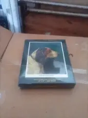 Jigsaw : 300 piece : An Apartment Puzzle, Quite Fetching (English Fox Hound Dog)