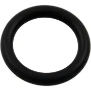 Polaris Zodiac 6-505-00 UWF Connector O-Ring for Polaris 180/280 Cleaner