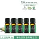 【Bonnie House 植享家】呼吸道專家超值組-尤加利精油5ml(五入組)