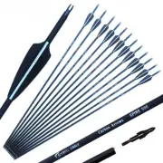 Carbon Arrow 28 Inch 30 Inch 31 Inch Spine 500with Replaceable Arrowhead Archery