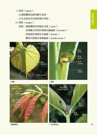 看見台灣原生植物