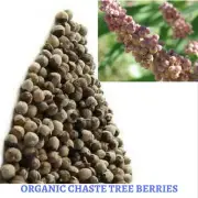 DRIED ORGANIC 50 GRAM - CHASTE TREE BERRY - Herb Tea - Vitex agnus castus