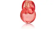 [Bvlgari] BULGARI Omnia Coral 100 ml eau de toilette for women