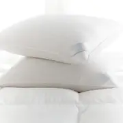 Scandia Home Lucerne Medium Down Pillow, King