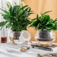在飛比找蝦皮購物優惠-玻璃花瓶 透明花瓶 玻璃瓶 花瓶 玻璃花器 插花瓶 水培花瓶