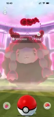 Pokémon Shiny Dynamax Wooloo - MlNl P T C - Read Description