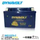 DYNAVOLT 藍騎士奈米膠體電池 MG10ZS-C 機車 TTZ10S 【免運贈禮】 10號電池 重機 R1 哈家人