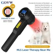 GOVW 5W 10x650nm 15x808nm Class Iv Deep Tissue Laser Therapy for lower back pain