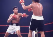 Muhammad Ali in action throws a punch vs Alfredo Evangelista durin- Old Photo