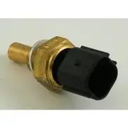 RAE Coolant Temperature Sensor - CS933