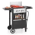 Captiva Designs 2-Burner Propane Gas BBQ Grill with Cast Iron Griddle Pan, 20...