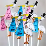 Bulk Buy 36 Floral Embellishing Acrylic Stork Baby Announcement Picks