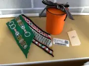 Hermes Twilly Twilly Scarf with Box 166