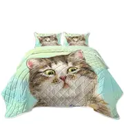 Adorable Cat for Kids the Suspicious Kitten Coverlet