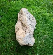 XL Pumice Stone Volcanic Rock