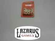 Warhammer FB High Elves AoS Order Lumineth Realm-Lords: White Lion Command (oop)