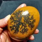 BEST HOT299.4G Natural Gobi tree agate China Mongolia 6875+