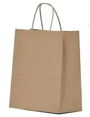 Kraft Paper Gift Bags with Handles - 8x4.5x10 8x4.5x10 Inch (Pack of 25) Brown