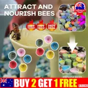 Bee Insect Drinking Cup, Thirsty Pollinators Need Safe Places to Drink, Bee CuAN