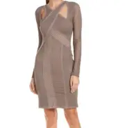 NWT BCBGMaxAzria Jaylynn Mesh Patchwork Dress Taupe Brown Bodycon Sexy Size XXS
