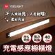 易來Yeelight充電感應櫥櫃燈40cm(YLBGD-0045(質感黑))