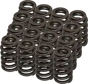 16PCS 1200 Series Engine Beehive Valve Springs Kit Replacement for PAC-1218 Compatible with GM LS-Series Engines 4.8 5.3 5.7 6.0 6.2 LS1 LS2 LS3 LS6 LQ4 LQ9 Car Trucks, 600" Lift Rated