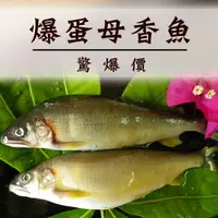 在飛比找樂天市場購物網優惠-☆母香魚☆ 爆卵 爆蛋母香魚 7入/包 【 陸霸王】