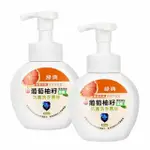 【綠典】葡萄柚籽茶樹保濕抗菌洗手慕斯泡泡洗手乳300ML X 2瓶(台灣GMP工廠製造)