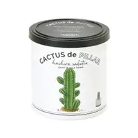 在飛比找誠品線上優惠-聖新陶芸CACTUS de CACTUS仙人掌植物栽培組/ 