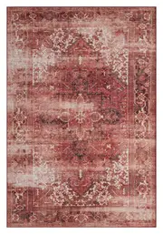 Hyde Chenille Rustic Rug - 245 Rust