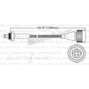 PAT Oxygen/Lambda Sensor Pre-Catalytic Converter/Manifold - EGO-203
