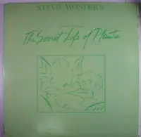 在飛比找Yahoo!奇摩拍賣優惠-《二手歐版黑膠》Stevie Wonder - Journe