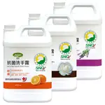 【JIE FEN潔芬】抗菌洗手露 山茶花/柑橘/薰衣草 4000ML