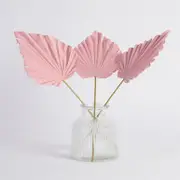 Artificial Dried Light Pink Palm Stem [MUSHPALSS24A]