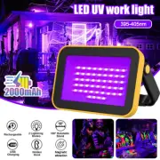 40W USB UV LED Black Light Floodlight Christmas Party DJ Dance Glow Light XMAS
