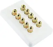 Selby 5.0 Speaker Wall Plate Wallplate Premium Pre-Assembled for 5 Speakers