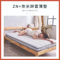 在飛比找蝦皮購物優惠-【ELVIS愛菲斯】ZN+奈米鋅石墨烯乳膠獨立筒雲薄墊 床墊