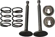 WQWQW Spring Retainer Kit Exhaust Valve for Honda GX160 GX200 168F 170F 5.5HP-6.5HP Gasoline Engine Lawn Mower 14711-ZF1-000