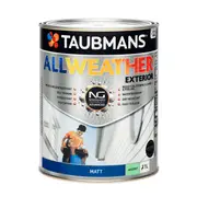 Taubmans Accent Matt All Weather Exterior Paint - 1L