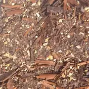 Travelers Chai Masala (tea spice), loose/bulk - Masalawala