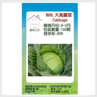 在飛比找PChome24h購物優惠-【蔬菜工坊】B08.大高麗菜種子