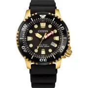 Citizen Promaster Dive Eco-Drive Watch, 3-Hand Date, ISO Certified, Luminous ...
