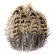 20pcs Natural Leopard Print 4-6cm Pheasant Feathers DIY Art Craft Jewellery