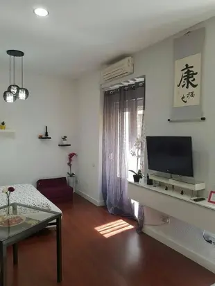 市中心公寓套房 - 100平方公尺/1間專用衛浴cross street apartment 4, sun madrid