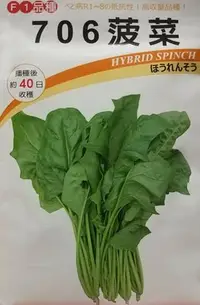 在飛比找Yahoo!奇摩拍賣優惠-日本706菠菜種子一包50元