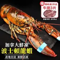 在飛比找森森購物網優惠-海肉管家-活凍波士頓龍蝦2隻(約400~500g/隻)【第2