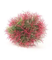 PD-T28 Big Red/Green Ball with weighted base 5in Diameter