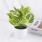 Pot For Home Decor Turtle Back Leaf Tropical Plant Bonsai Artificial Plants